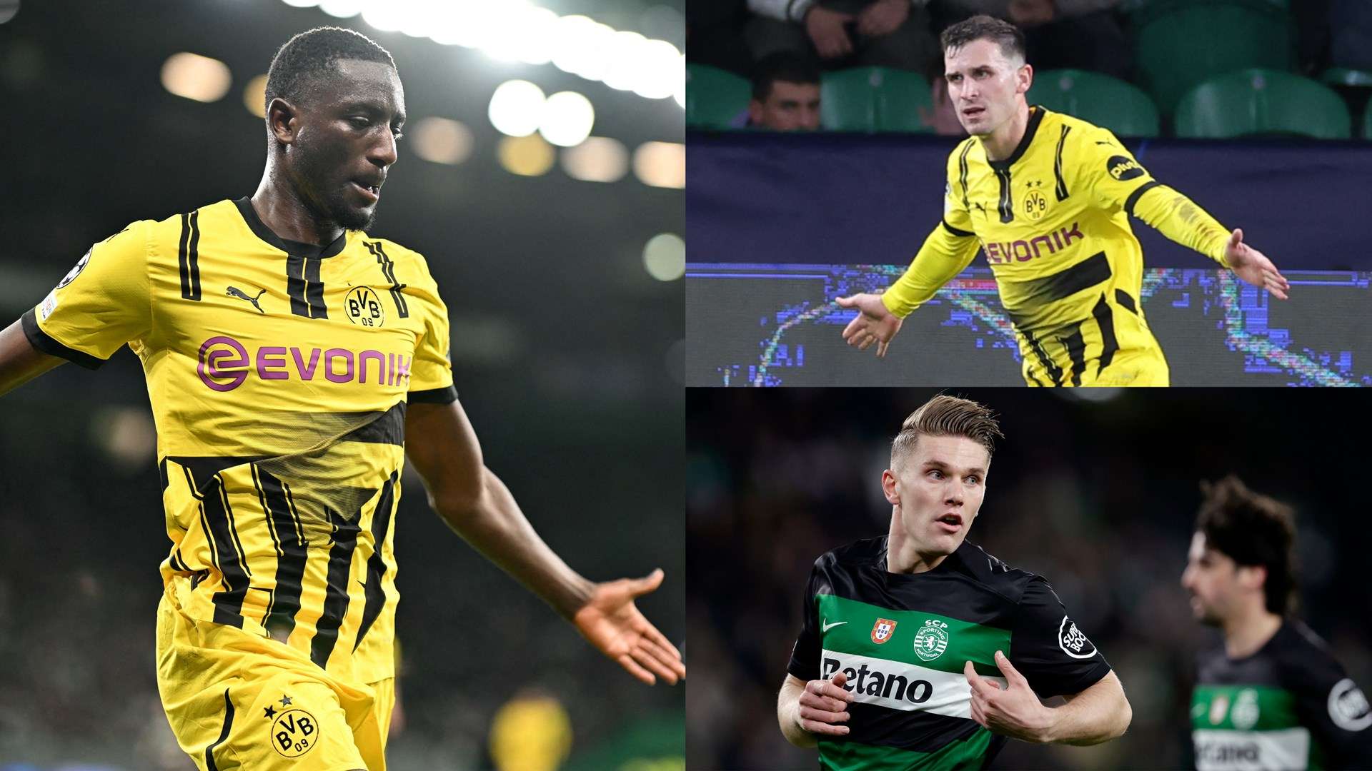 更反映了聂 更反映了聂