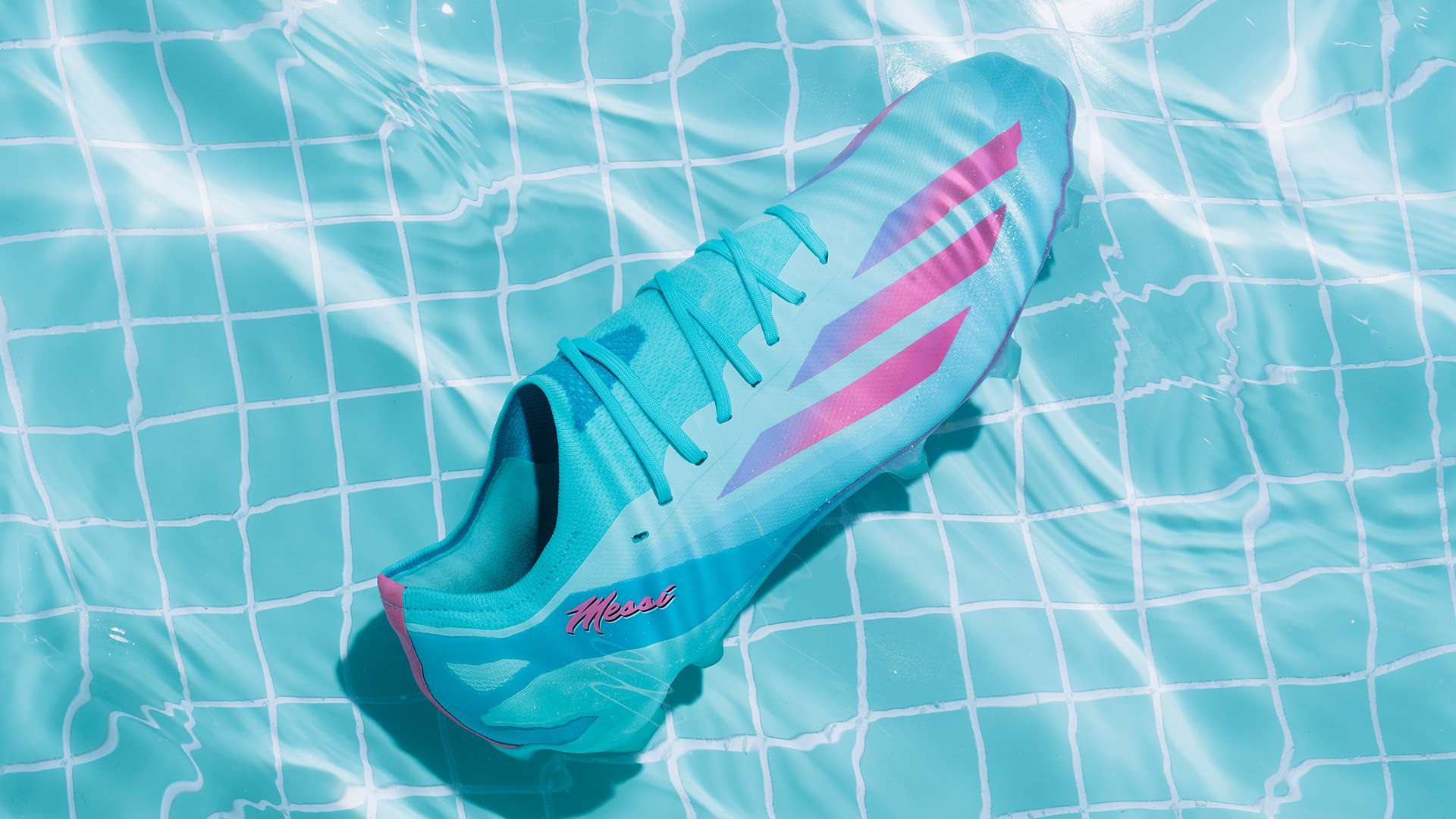 同其父数次 同其父数次