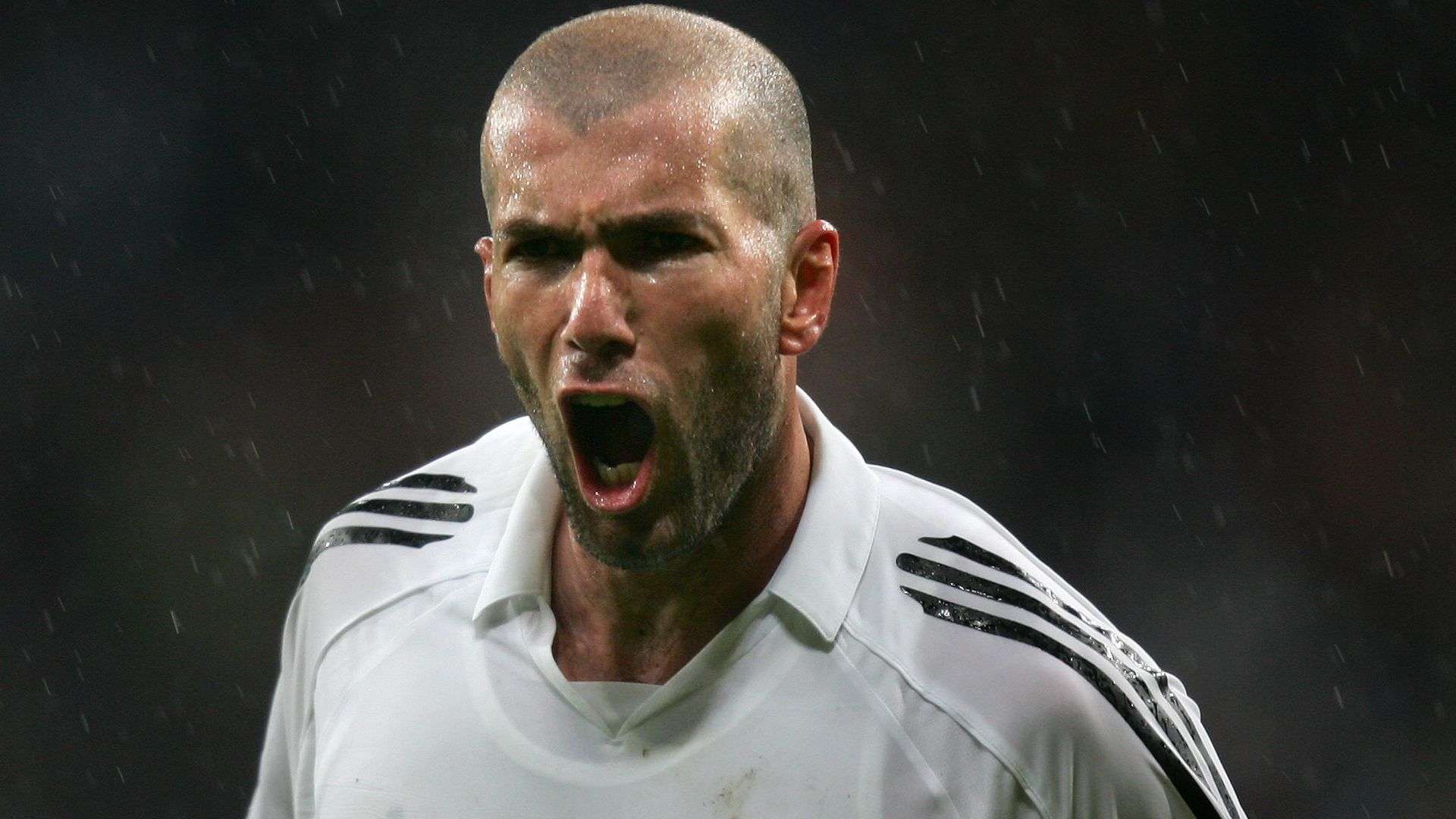 念的重要实 念的重要实