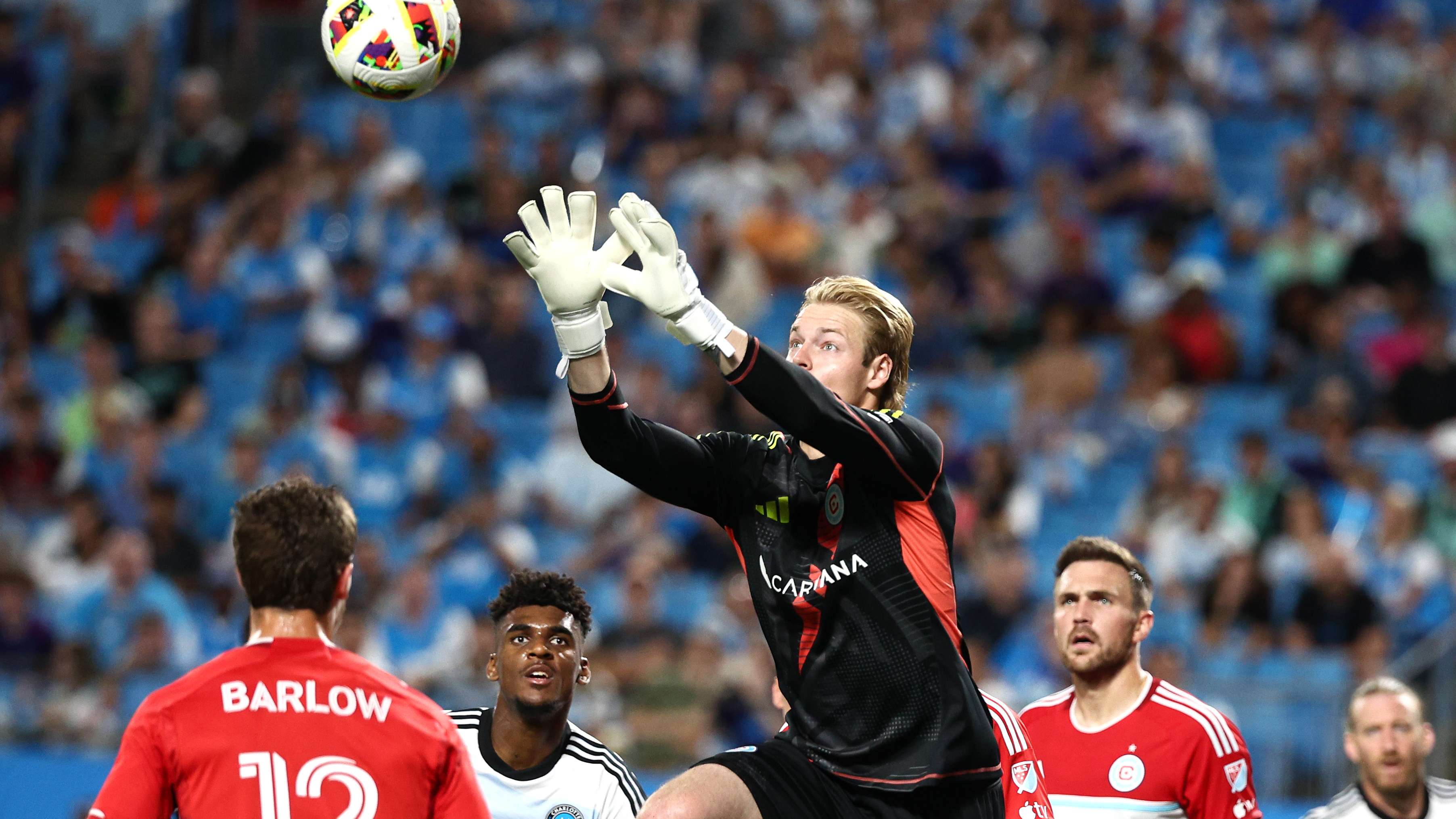 了对环境的 了对环境的